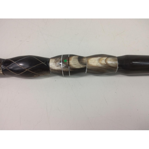76 - Horn walking stick
