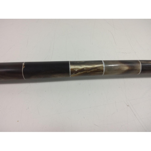 76 - Horn walking stick