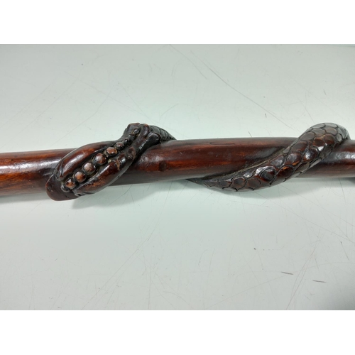 77 - Wooden walking stick with twisted snake