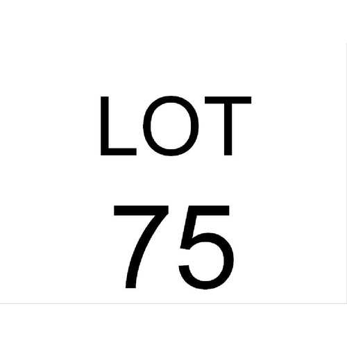 75 - Wooden walking stick with snake head handle