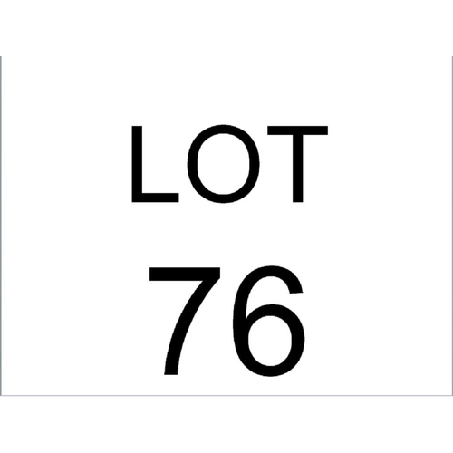 76 - Horn walking stick