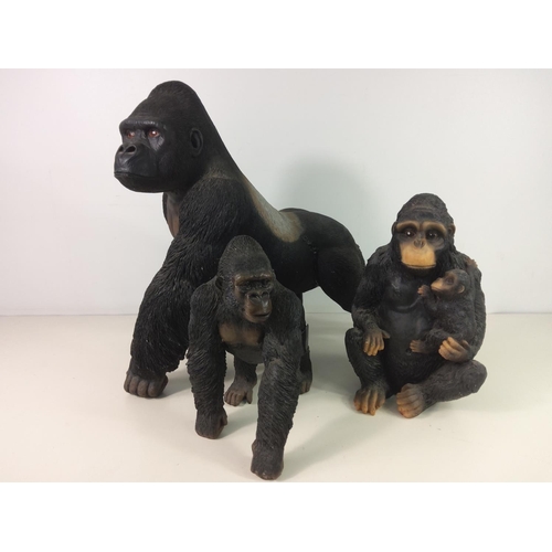 342 - 2 gorillas and a chimpanzee