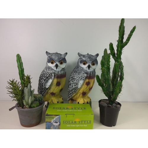 347 - Owls, faux cactus and solar lights