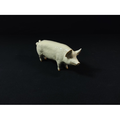 100 - 2 Beswick Pig figures