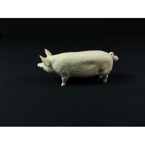 100 - 2 Beswick Pig figures