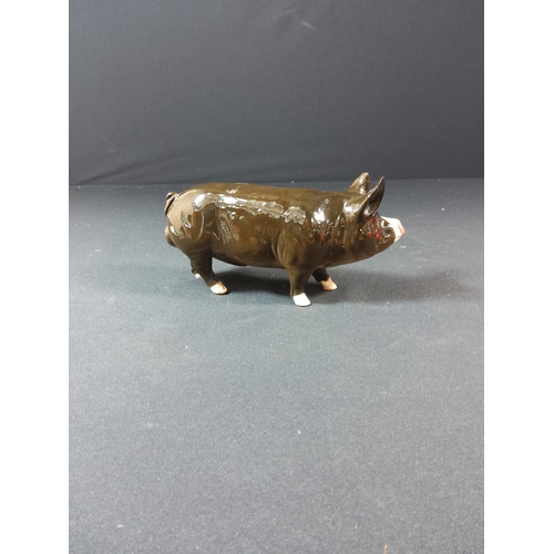 101 - 2 Beswick Pig figures