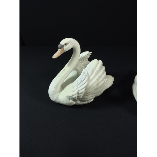 26 - 2 Lladro swans