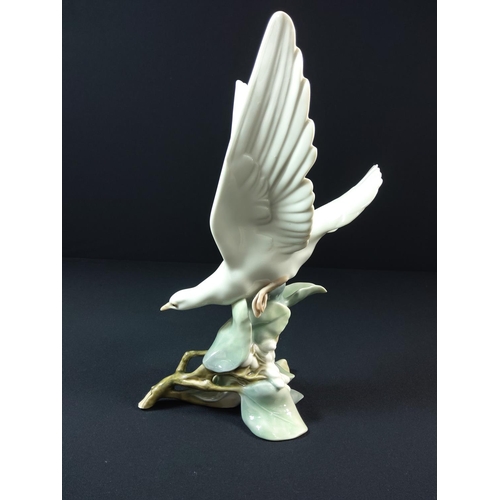 31 - Lladro large dove