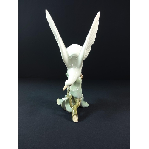 31 - Lladro large dove