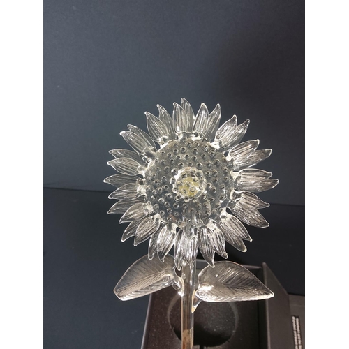 43 - Boxed Waterford crystal sunflower - overall length approx 37cm