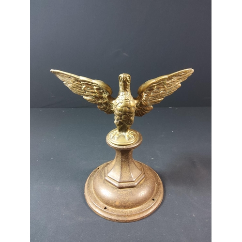 96 - Pair of Brass eagles in flight on cast iron bases - each approx 29cm tall