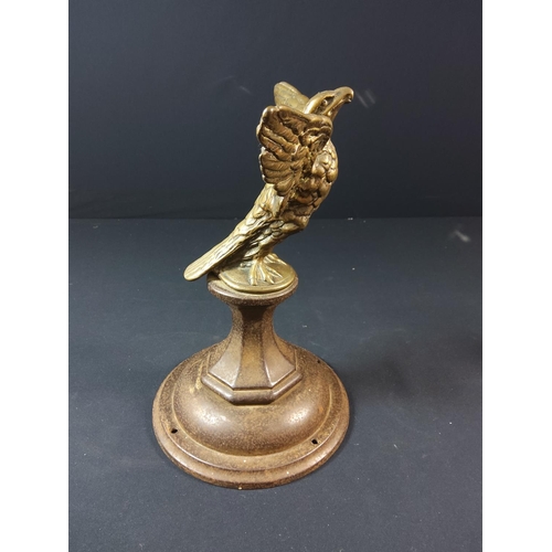 96 - Pair of Brass eagles in flight on cast iron bases - each approx 29cm tall