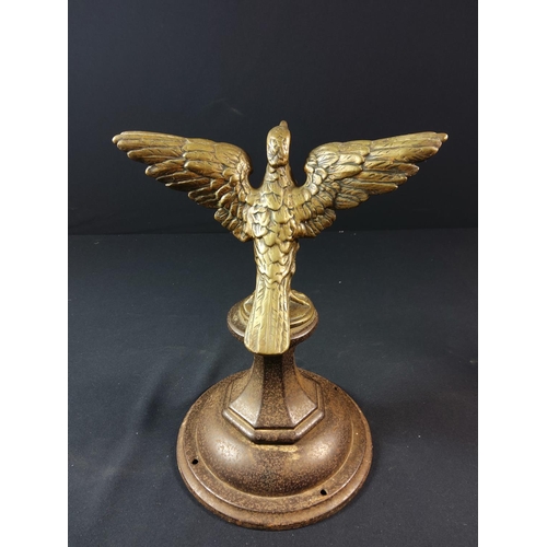 96 - Pair of Brass eagles in flight on cast iron bases - each approx 29cm tall