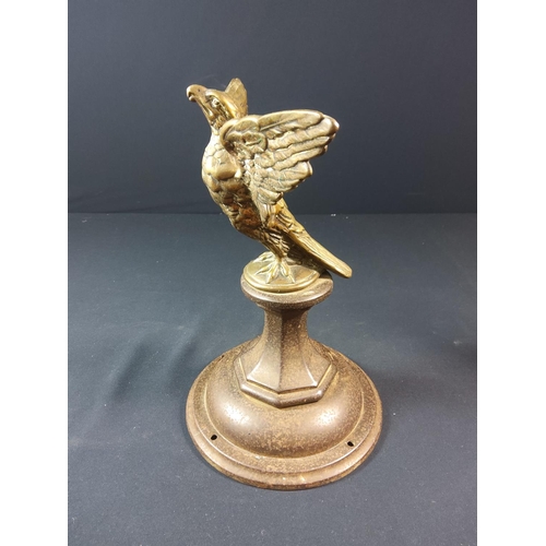 96 - Pair of Brass eagles in flight on cast iron bases - each approx 29cm tall