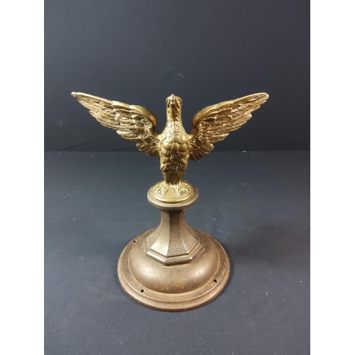 96 - Pair of Brass eagles in flight on cast iron bases - each approx 29cm tall