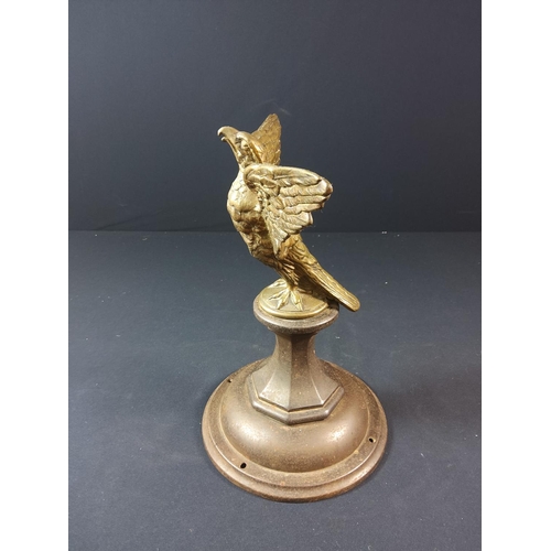 96 - Pair of Brass eagles in flight on cast iron bases - each approx 29cm tall