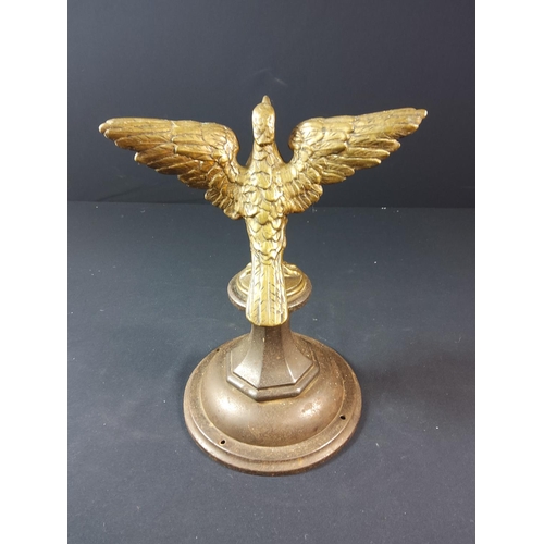 96 - Pair of Brass eagles in flight on cast iron bases - each approx 29cm tall