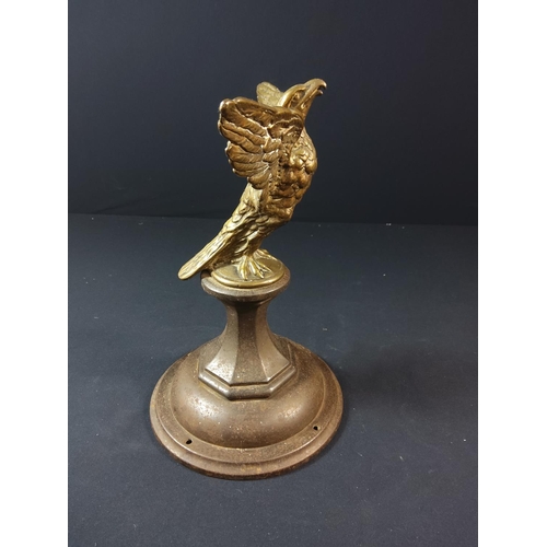 96 - Pair of Brass eagles in flight on cast iron bases - each approx 29cm tall