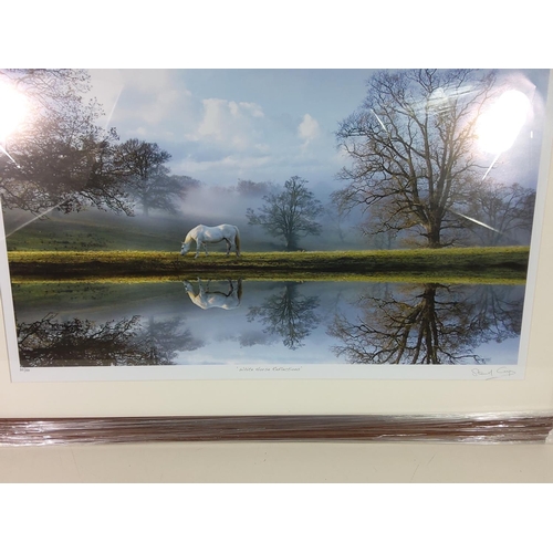 11 - Limited Edition print 20/50 'White Horse Reflections' by Steve Crisp, 83cms x 63cms