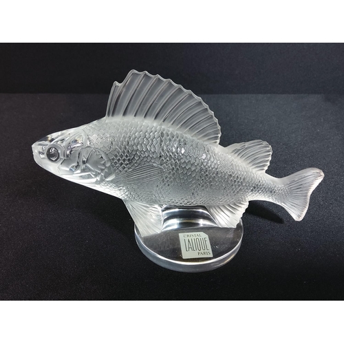 381 - Lalique fish on stand, 16cms in length and standing 10cms tall without the base.