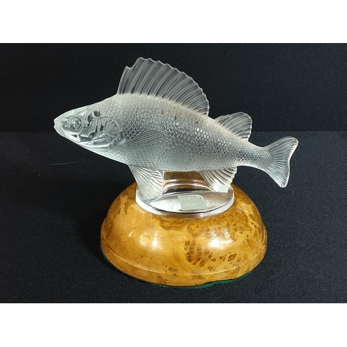 381 - Lalique fish on stand, 16cms in length and standing 10cms tall without the base.