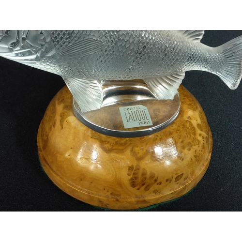 381 - Lalique fish on stand, 16cms in length and standing 10cms tall without the base.