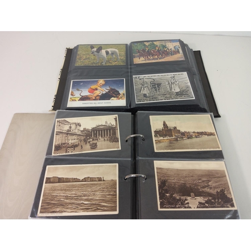 306 - 2 Albums of postcards