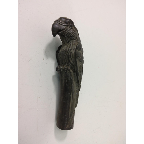 510 - Cast bronze parrot walking stick top