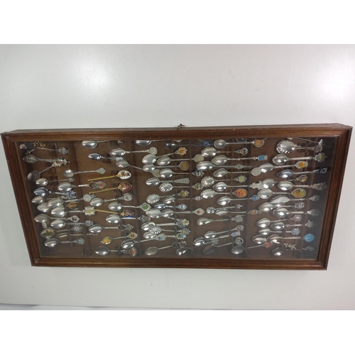 13 - Large case of collectors spoons, case size 76.5cms x 36cms x 6cms