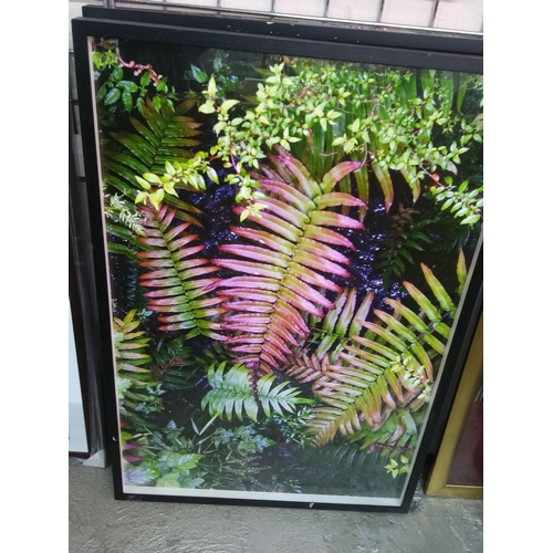 197 - 8 various framed pictures, largest 92cms x 62cms and 9 various pictures, largest 100cms x 100cms