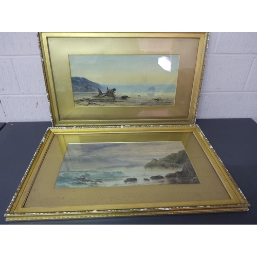 45 - 2 large antique watercolours by John Squire, both signed and dated 1868