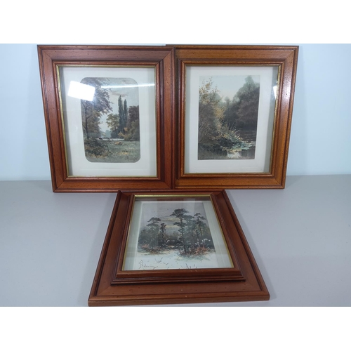 103 - Set of 3 framed pictures, largest 50cms x 42cms