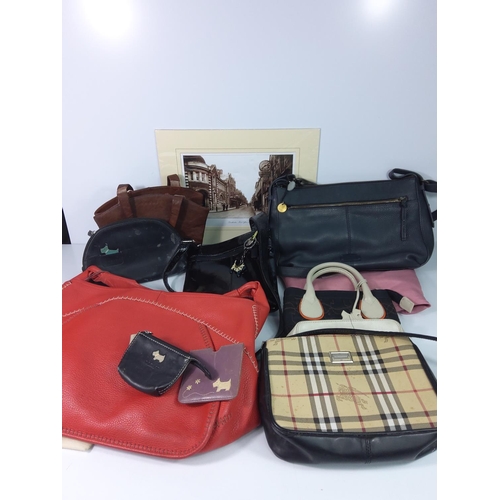 12 - Qty of Radley handbags and purse and a picture