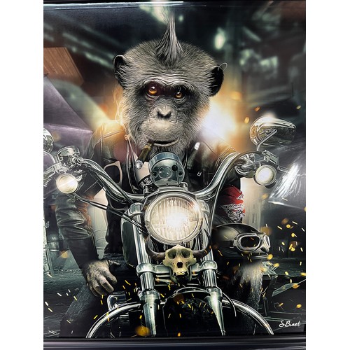 77 - Large framed Monkey on motorcycle picture - 86 X 86CM