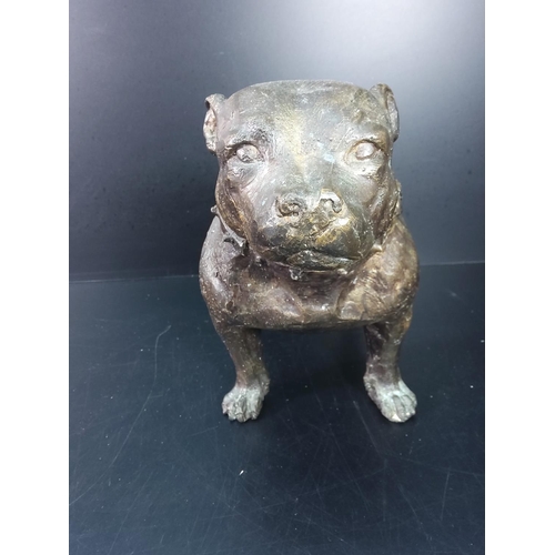 188 - Cast bronze Staffordshire Bull Terrier