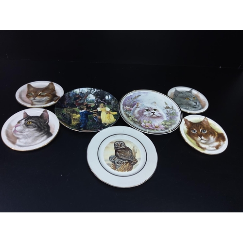 45 - Royal Dorchester tea set and collectors plates