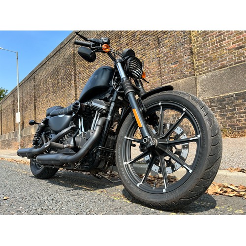 2016 harley davidson iron 883 store for sale