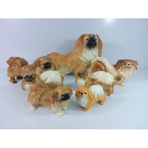 446 - Collection of 7 Pekinese dog figures