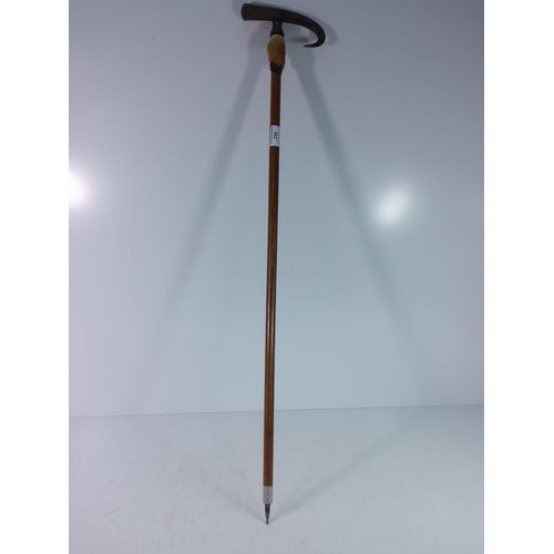 156 - Vintage Alpine walking stick with goat hoof, horn and hair handle