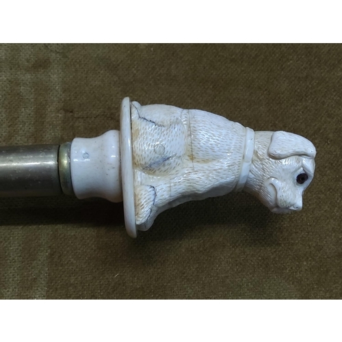 120 - Carved bone handled walking stick in the from of a dog