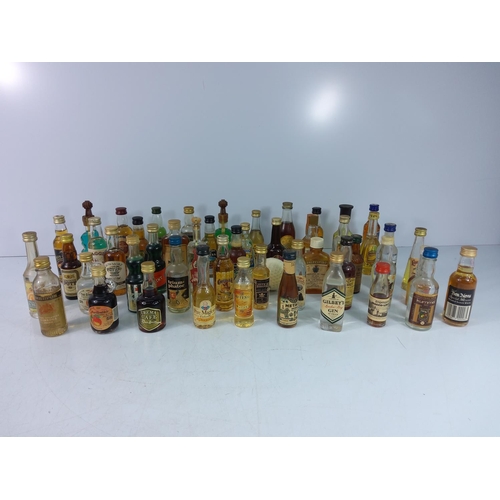 21 - Approx 50 miniatures (display only)