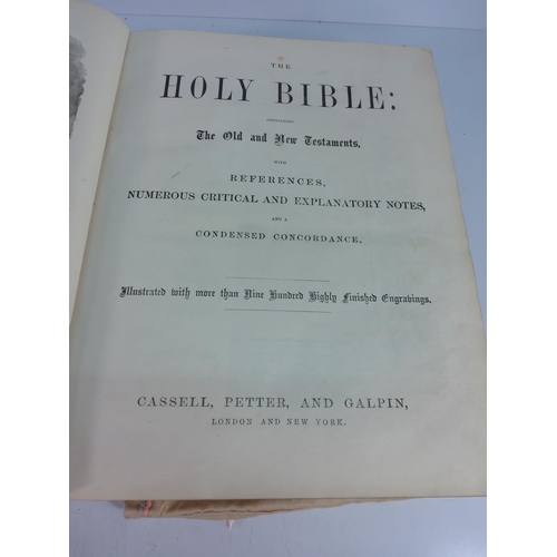 282 - Antique family bible