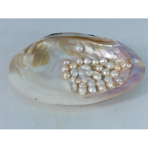 446 - Freshwater pearl centrepiece