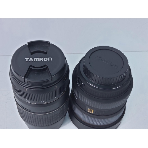 216 - Tamron lens and a Sigma lens