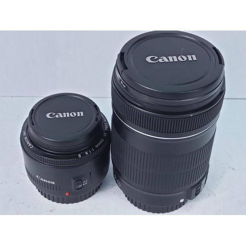 217 - 2 Canon lens