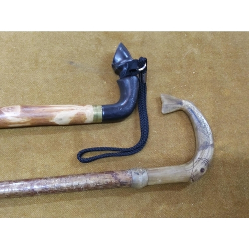 301 - Horn handled walking stick and one other