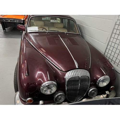 22 - Burgundy 1967 Daimler 250 with a v8 engine, Registration JTP 474F this vehicle is a non runner (no c... 