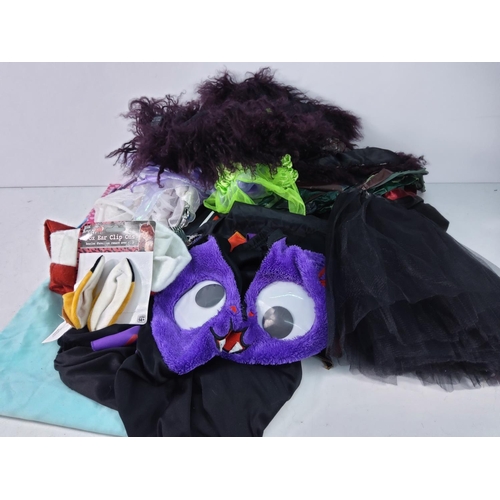 312 - Box of dressing up items