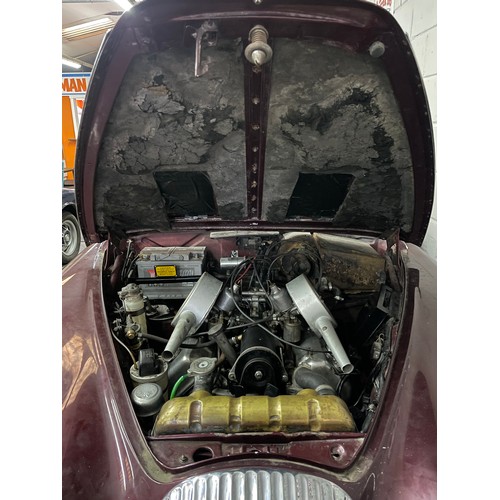 22 - Burgundy 1967 Daimler 250 with a v8 engine, Registration JTP 474F this vehicle is a non runner (no c... 