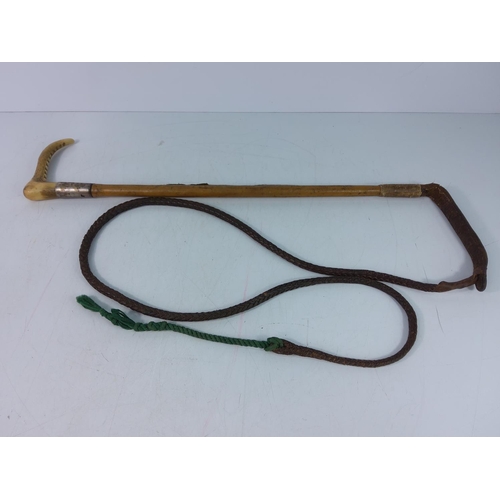 49 - Vintage hunting whip with horn handle